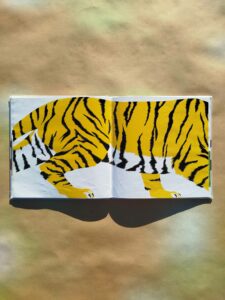 Brutta piega. Il libro illustrato tra design e narrazione