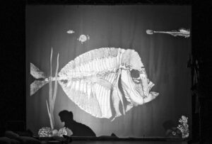 Cinque bambini in un’avventura spettacolare